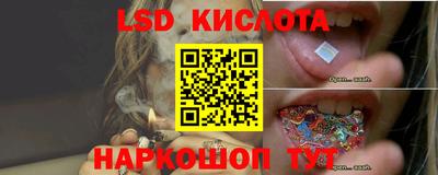гидропоника Баксан