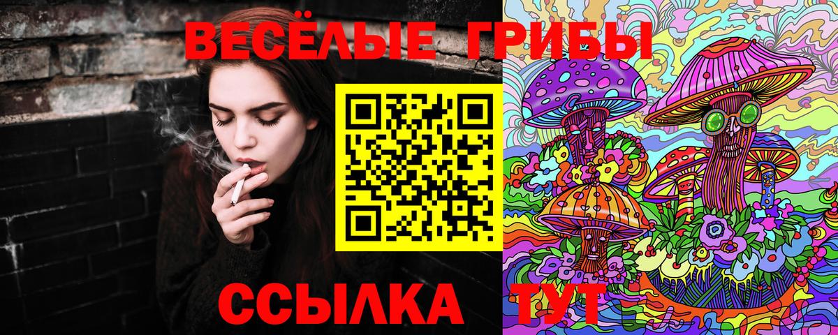Псилоцибиновые грибы Cubensis  Вход с VPN  Раменское 