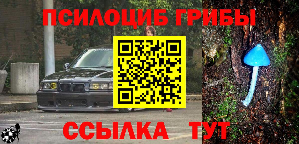 Псилоцибиновые грибы мицелий Раменское